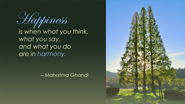 Happines is when what you think/say/do in harmony