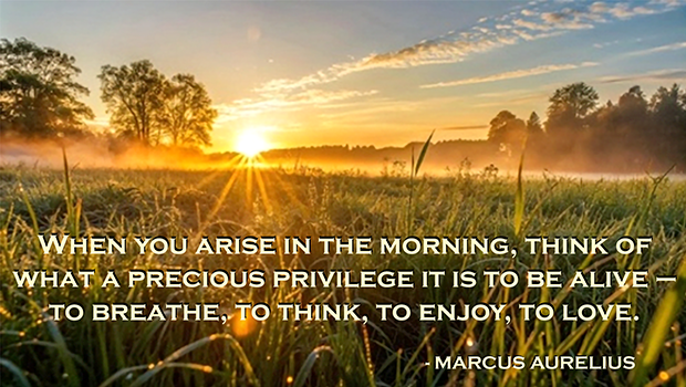 When you arise in the mroning..privilege to be alive/breathe/think/enjoy/love