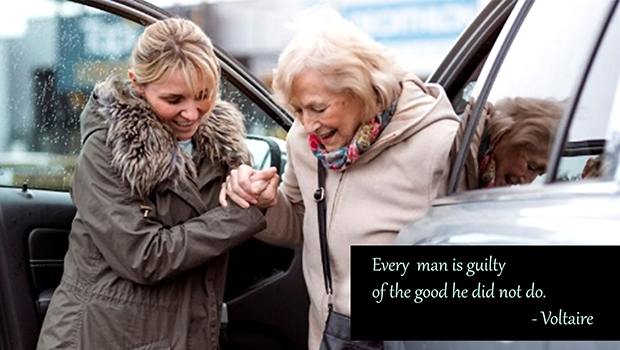 Every man is guilt of the good he did not do.