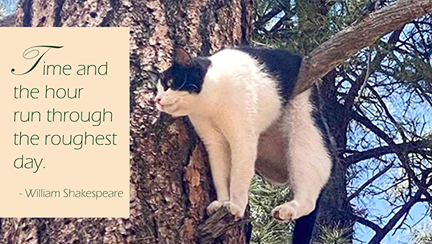 Time and the hour run through the roughest day