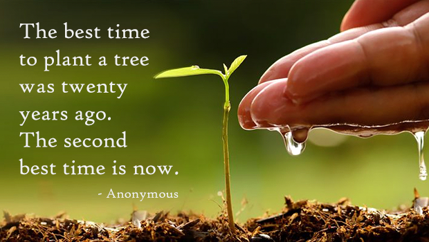 Plant a tree